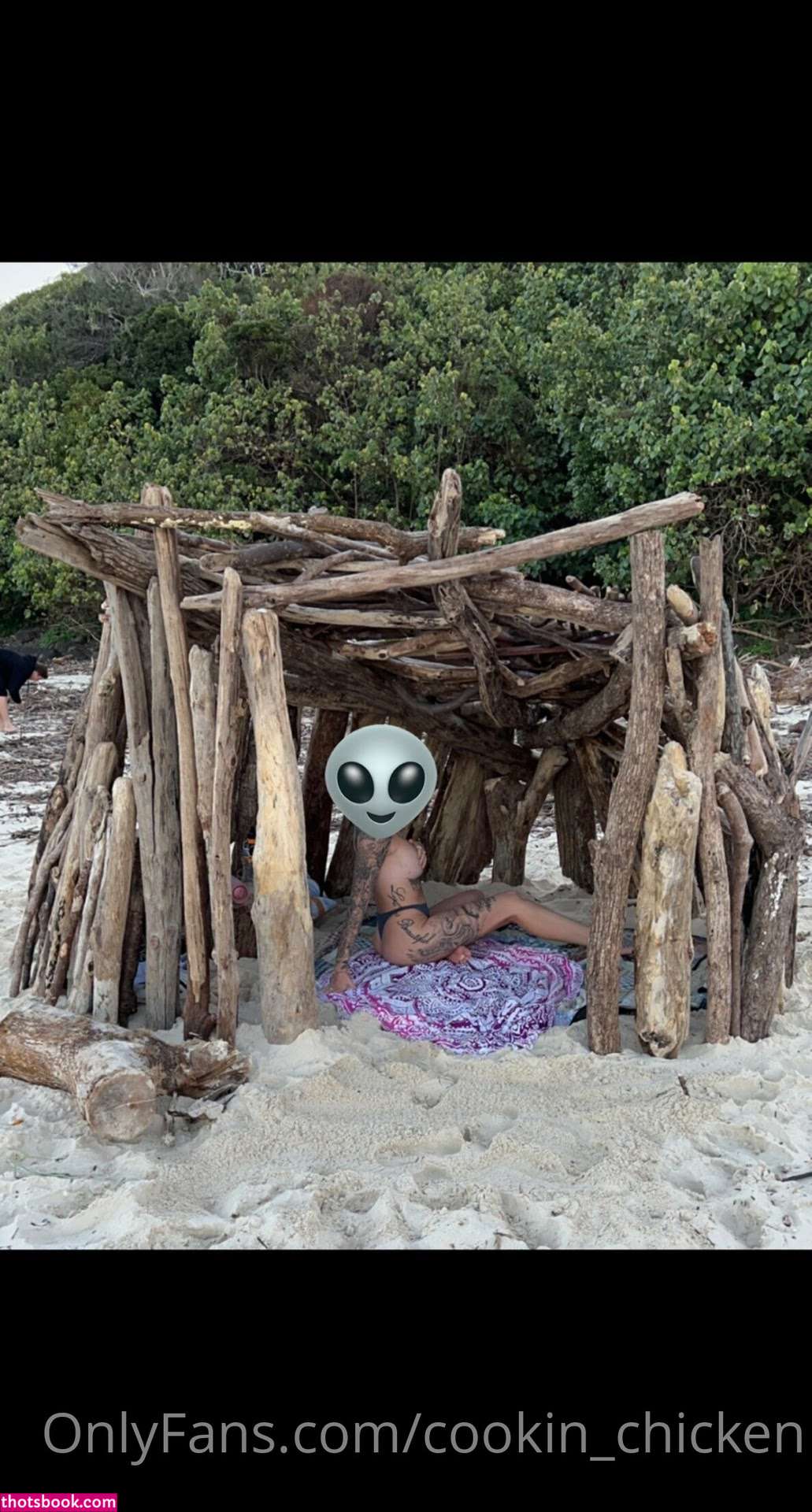 cookin chicken Nude Leaks OnlyFans Photos #4 1534468