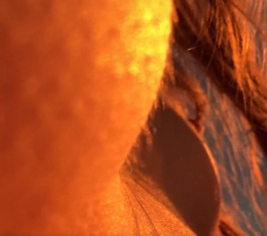 Stefania Deriabina Nude Leaks OnlyFans Photos #2