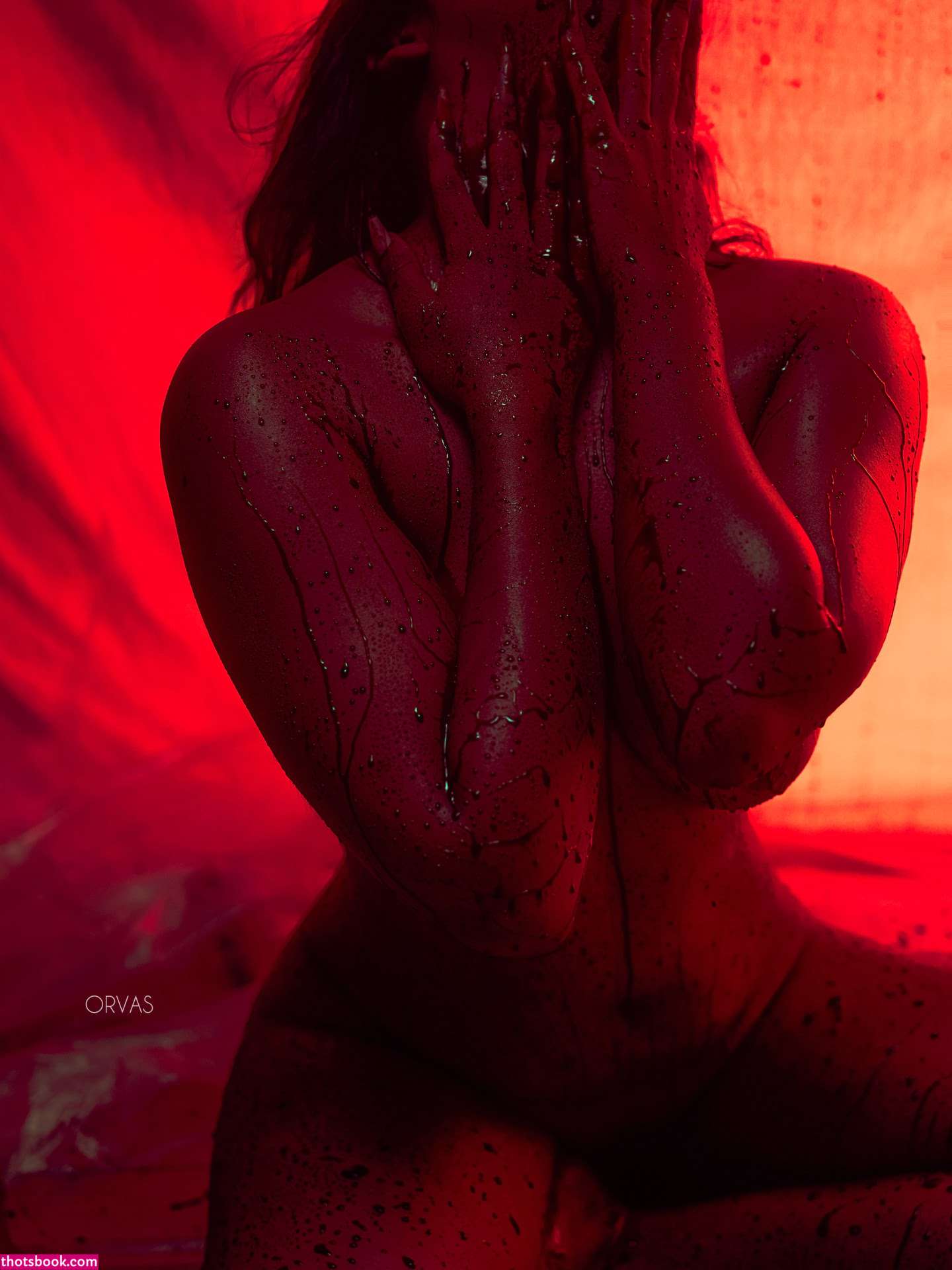 Debochan Nude Leaks OnlyFans Photos #2 1548658