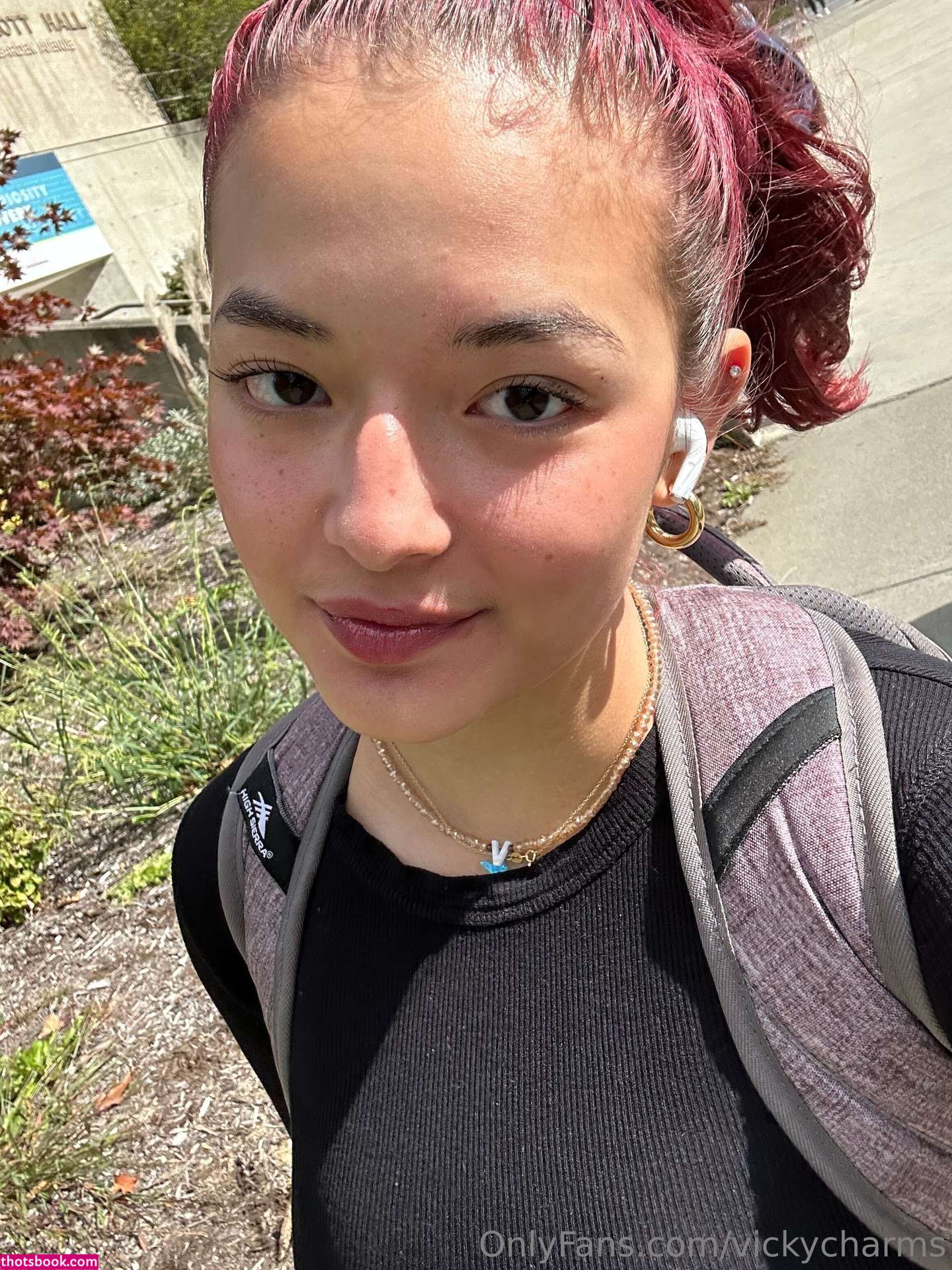 Itsvichan37 vickycharms Vic Han Nude Leaks OnlyFans Photos #5 1549200