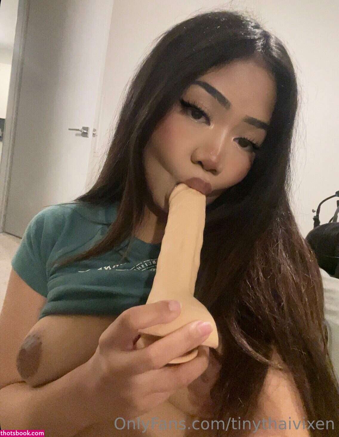 Tinythaivixen Nude Leaks OnlyFans Photos #4 1563589