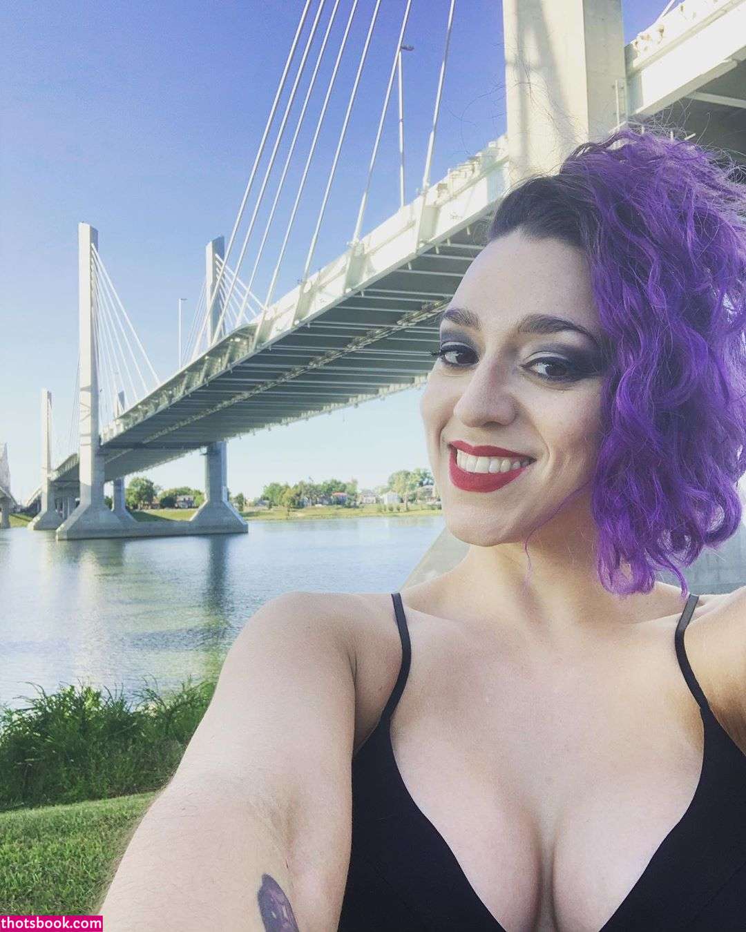 Sarah the Rebel Nude Leaks OnlyFans Photos #4 1516246