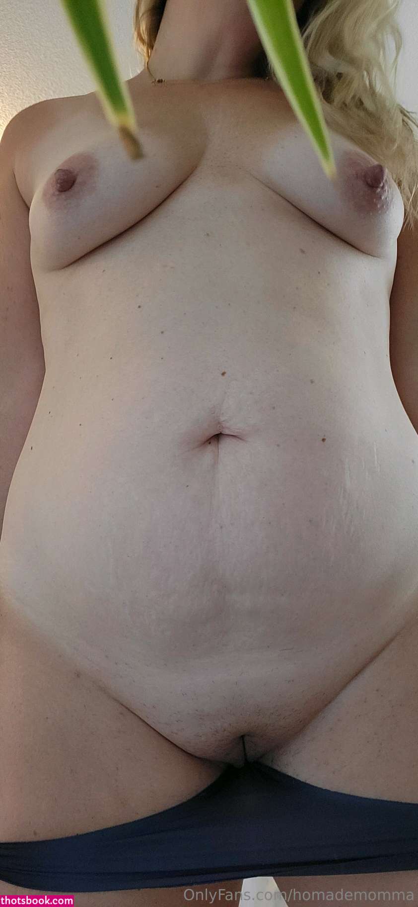 Homademomma Nude Leaks OnlyFans Photos #3 1544902