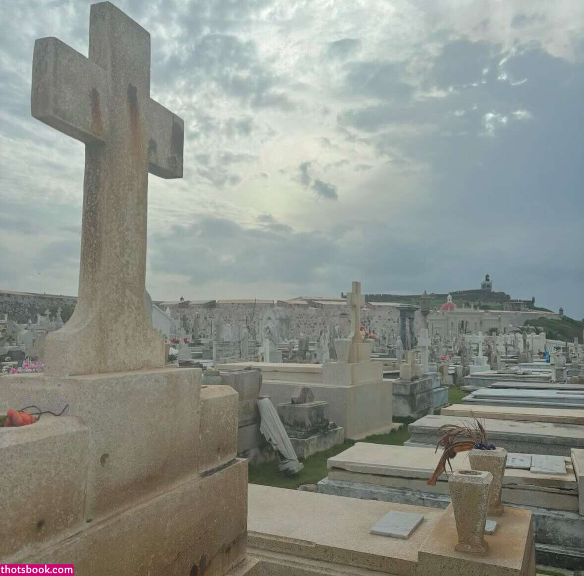 rainsummer srainnn Summer Rain Nude Leaks OnlyFans Photos #5 1545864