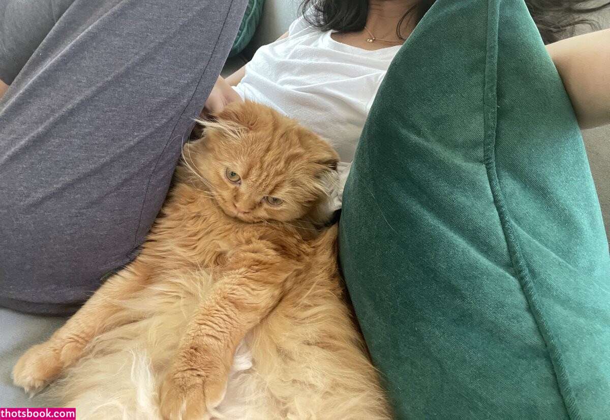 Validashun playqing Nude Leaks OnlyFans Photos #3 1559517