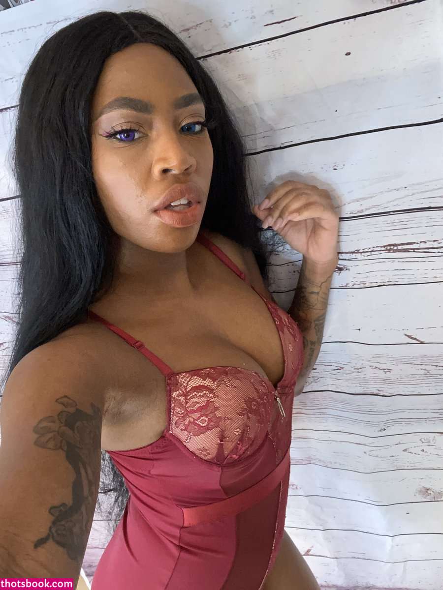 TattedPoodle Nude Leaks OnlyFans Photos #3 1534040