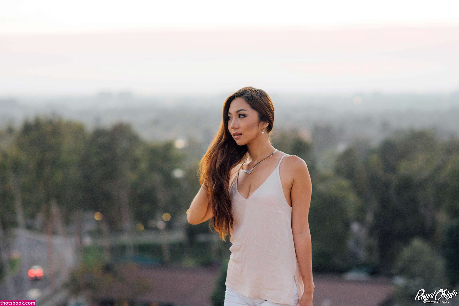 Sara Choi Nude Leaks OnlyFans Photos #1 1561539