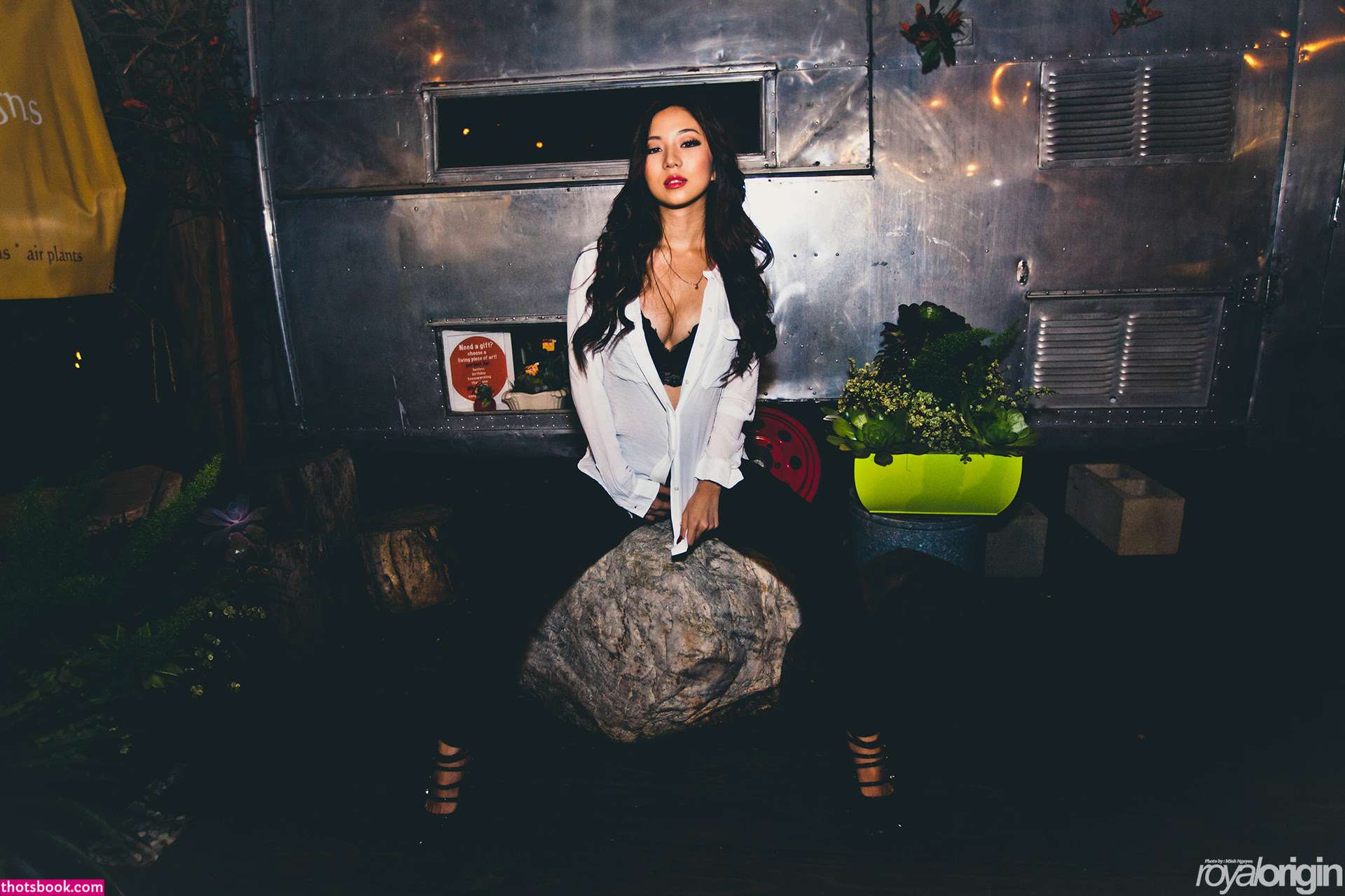 Sara Choi Nude Leaks OnlyFans Photos #2 1561545