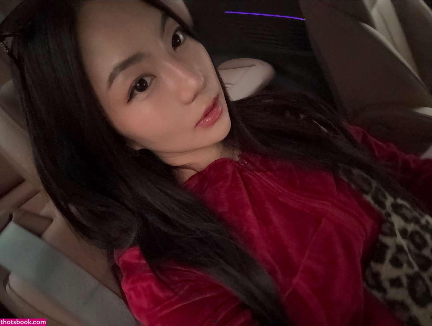 Sara Choi Nude Leaks OnlyFans Photos #5 1561559