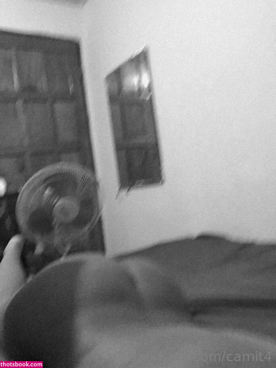 Camitor4 Onlyfans Photos #3 249127