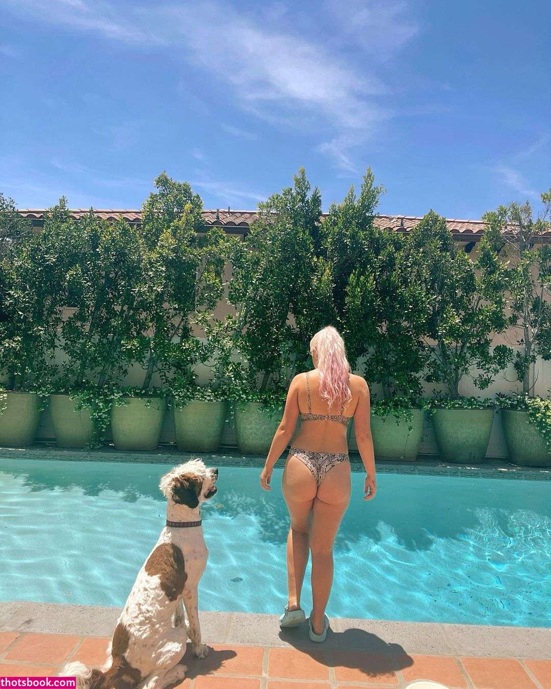 Nicole Skyes  nikkiskyes OnlyFans Photos #4 243789