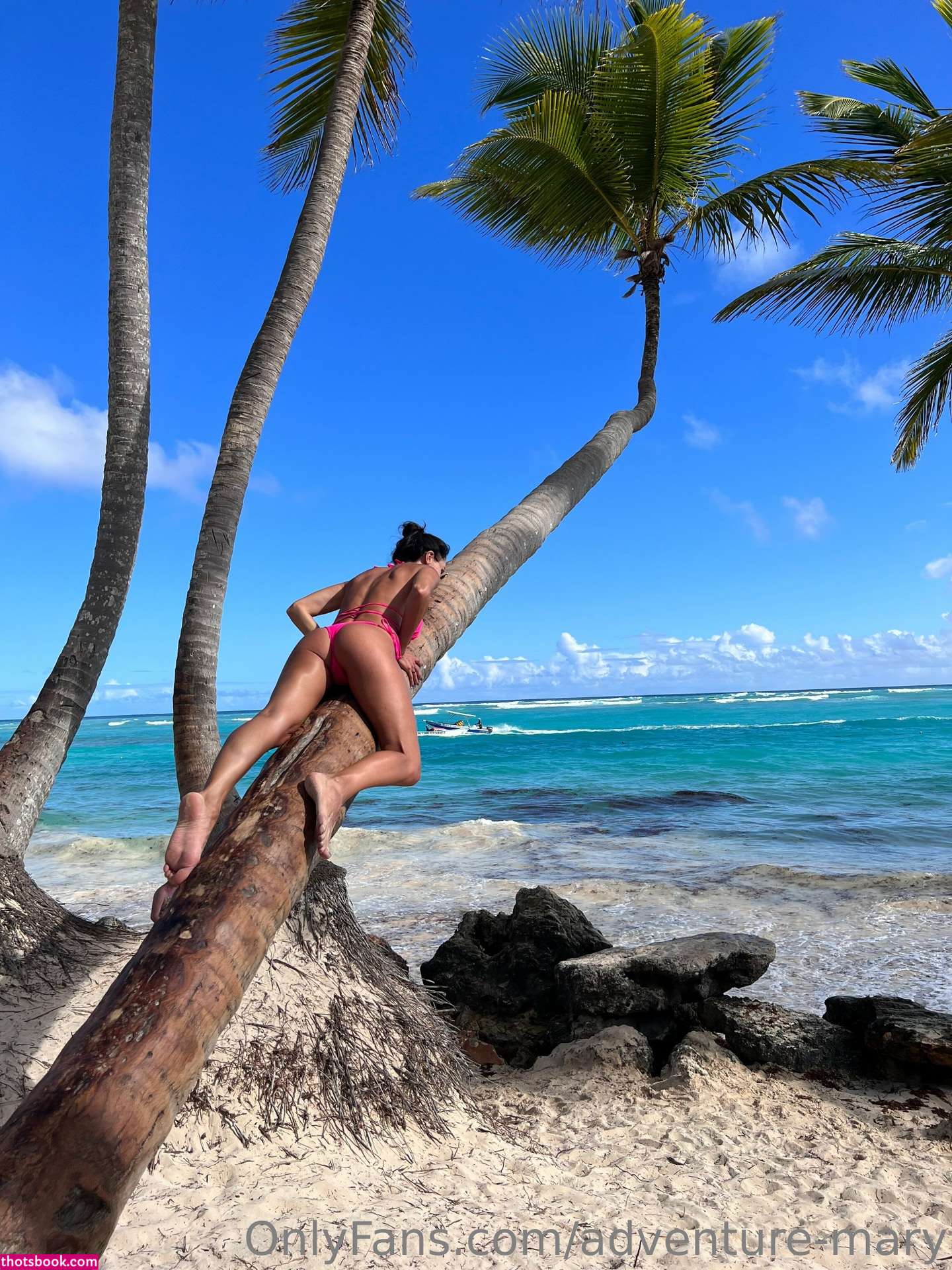 Aventure Marie Photos #8 254654