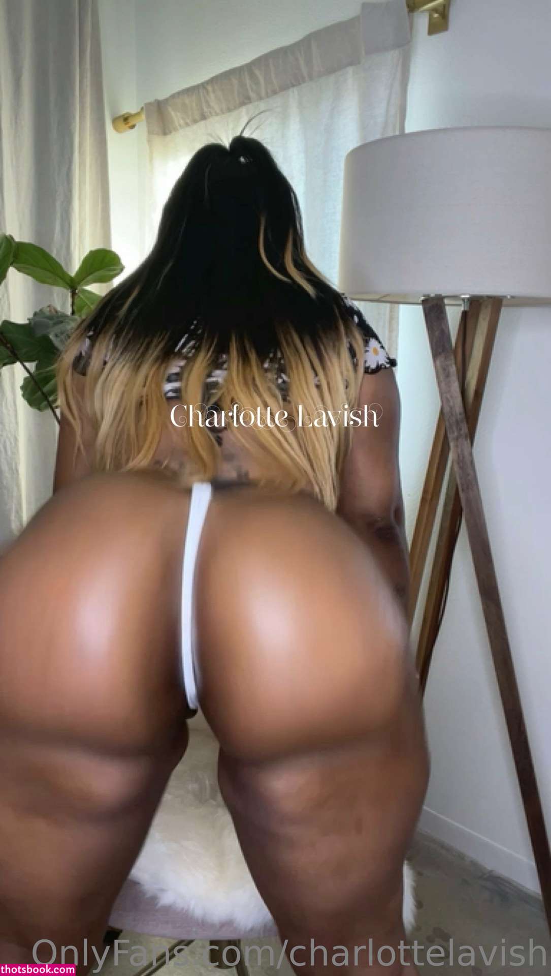 Charlotte lavish Photos #1 265893