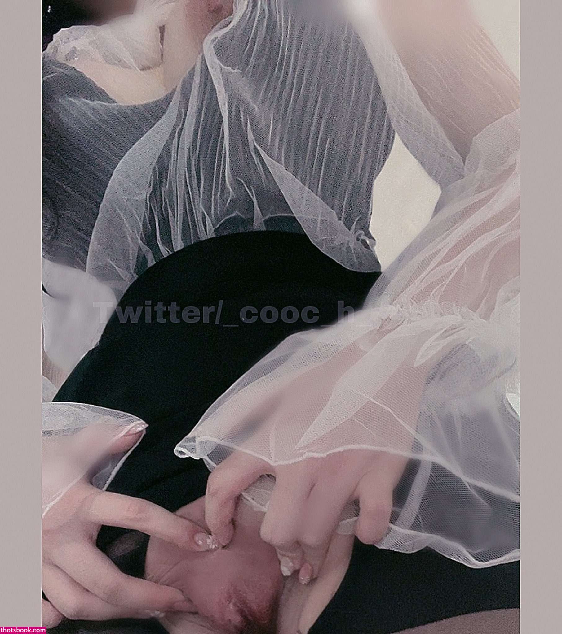 latulip0 Photos #3 246446