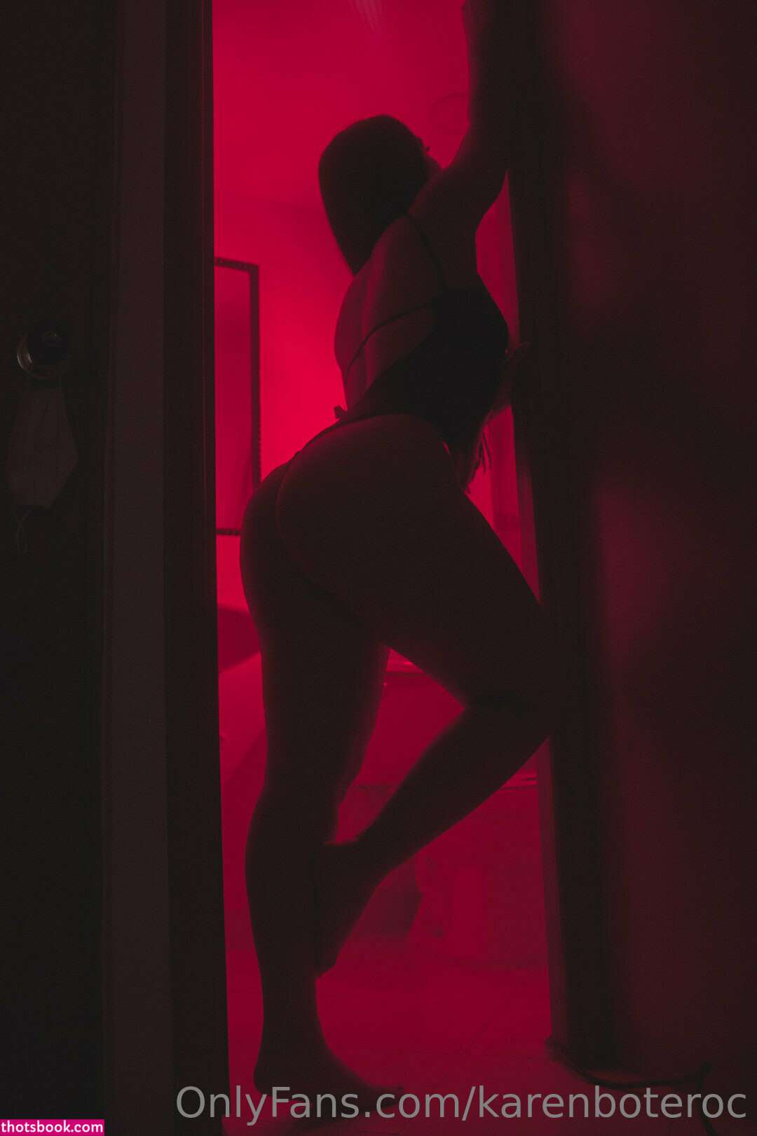 karenboteroc Nude OnlyFans Photos #6 996499