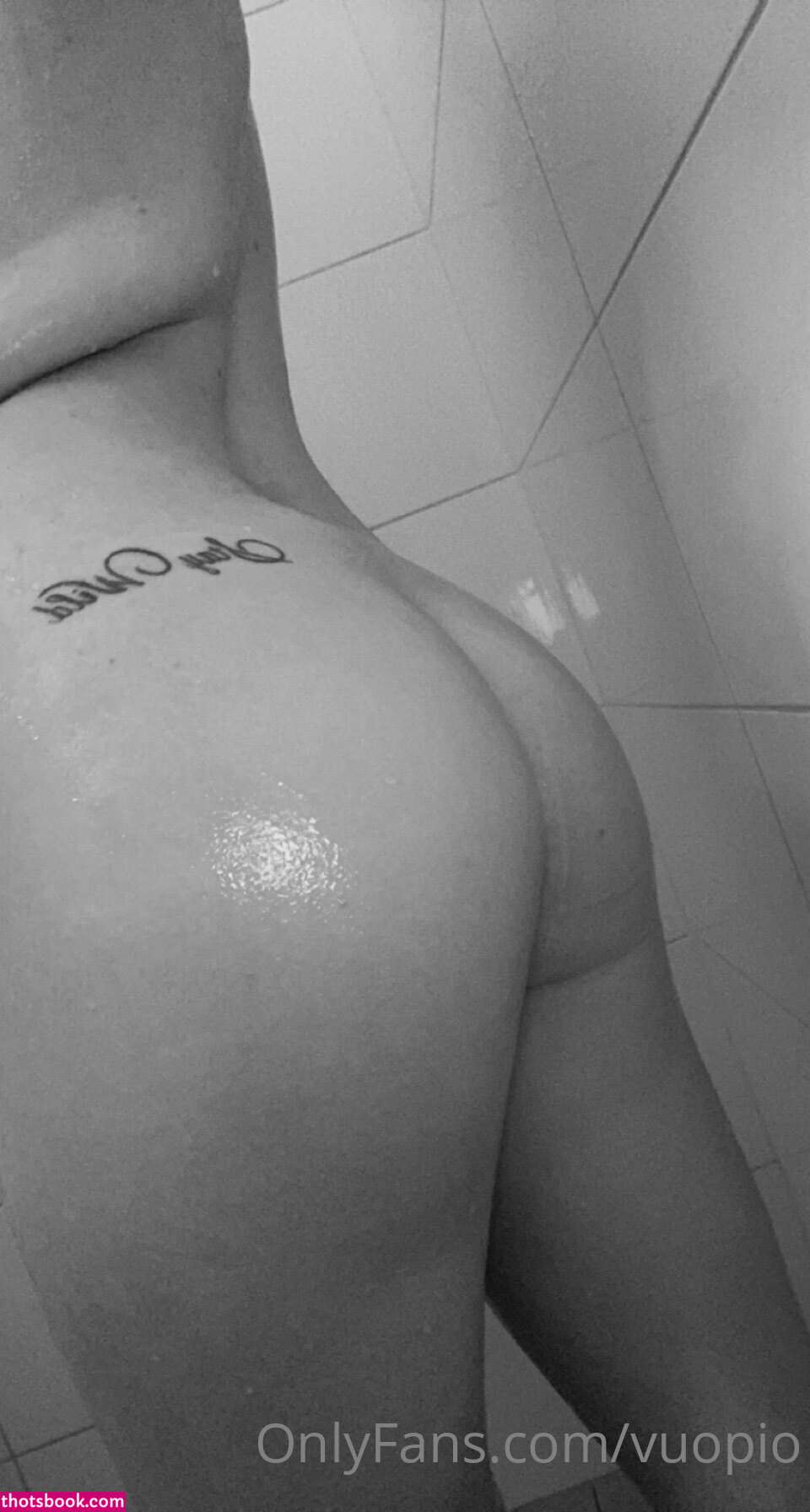 Linnea vuopio Nude OnlyFans Photos #13 997812