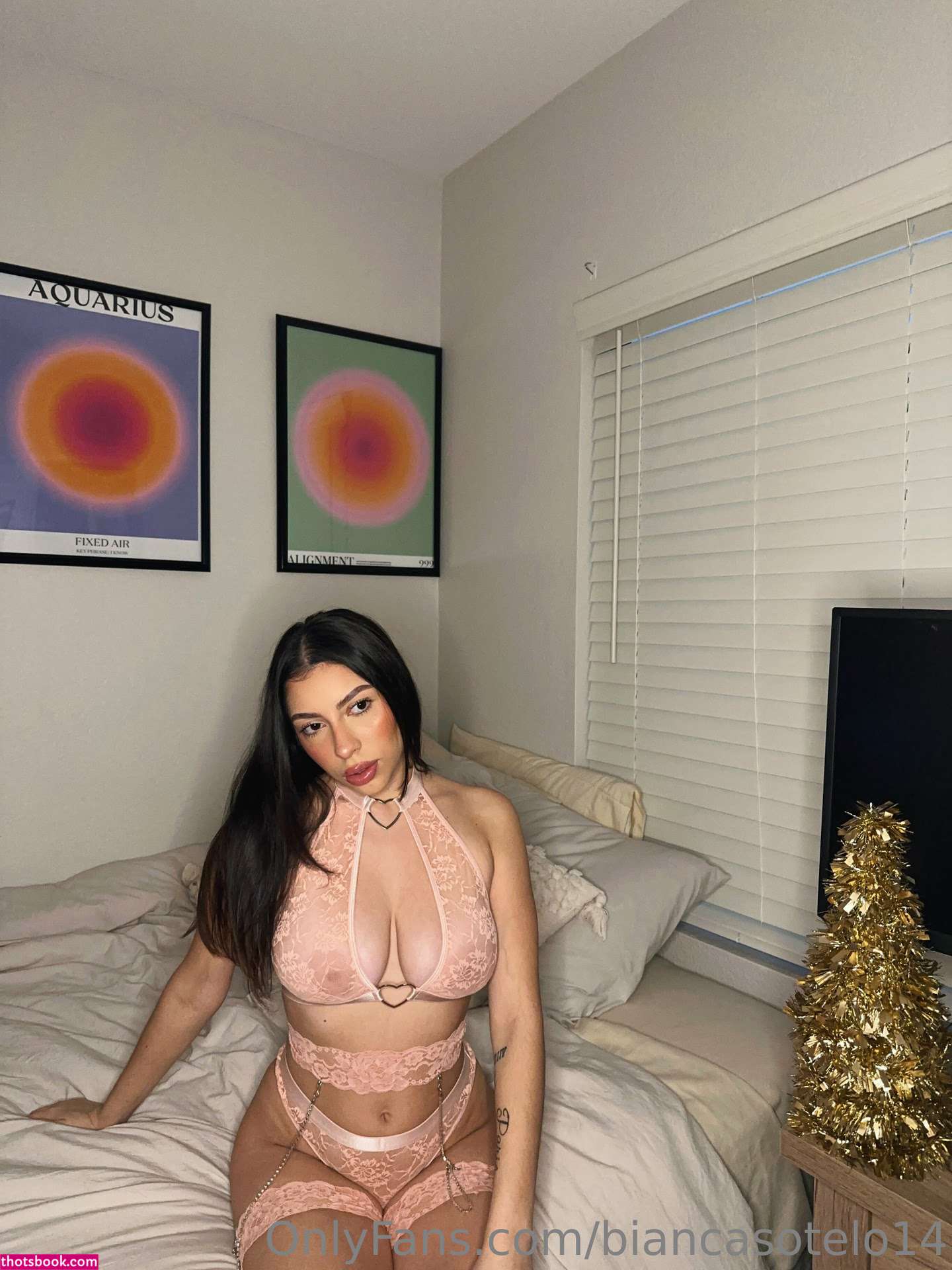 Bianca Sotelo biancasotelo14 Nude OnlyFans Photos #10 1005140