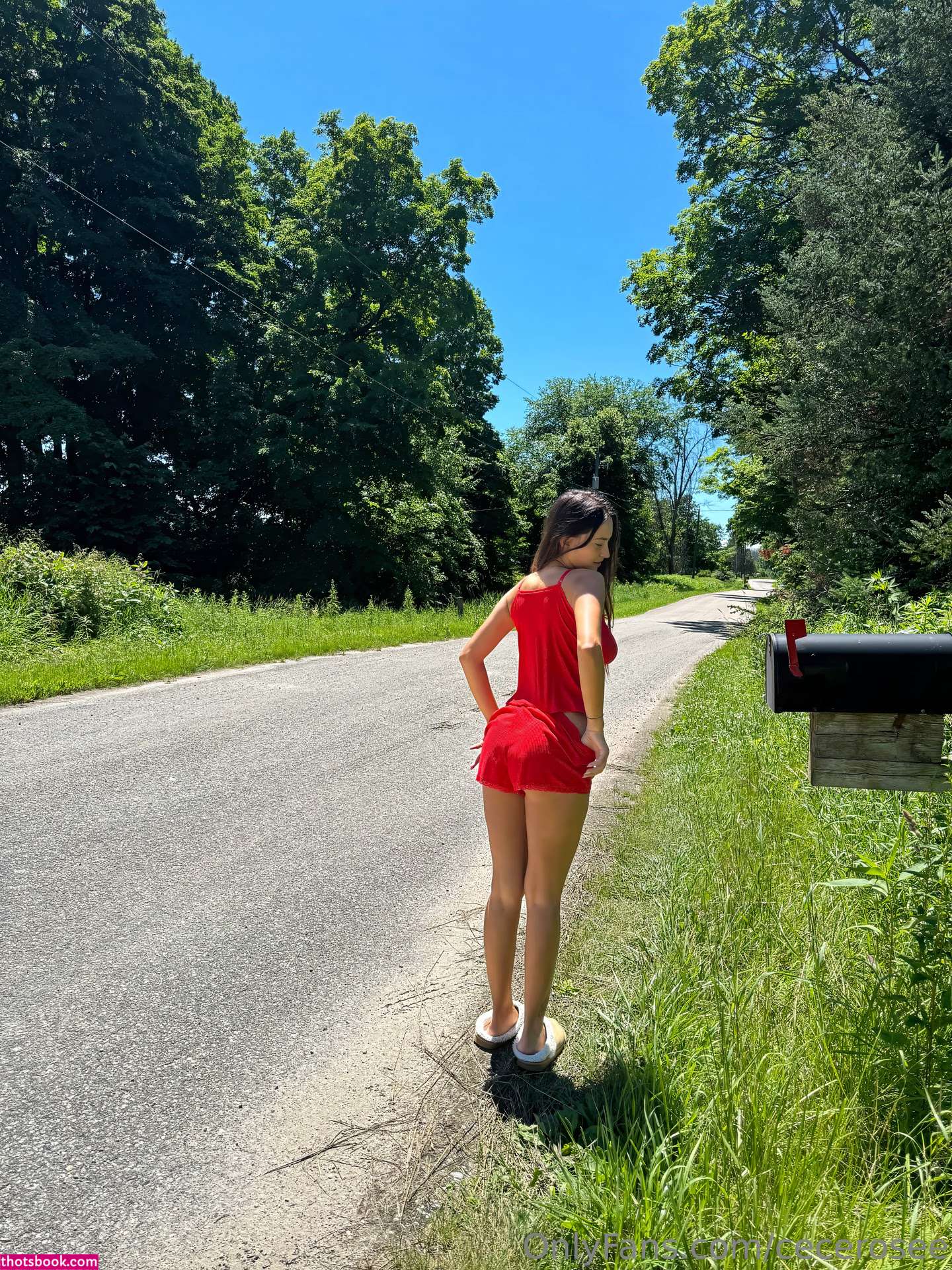 Cece Rose Nude OnlyFans Photos #67 980342