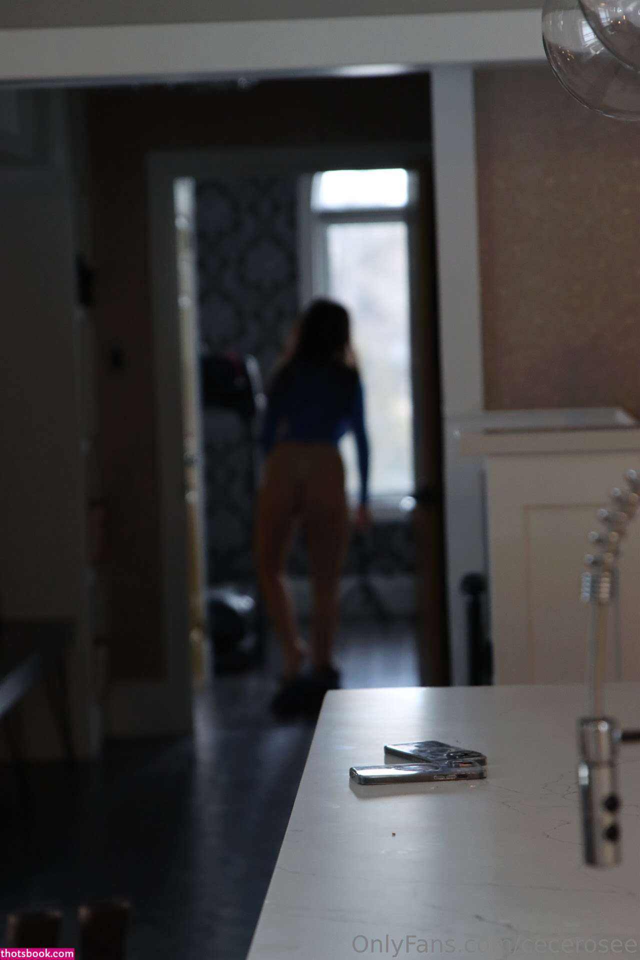 Cece Rose Nude OnlyFans Photos #70 980381