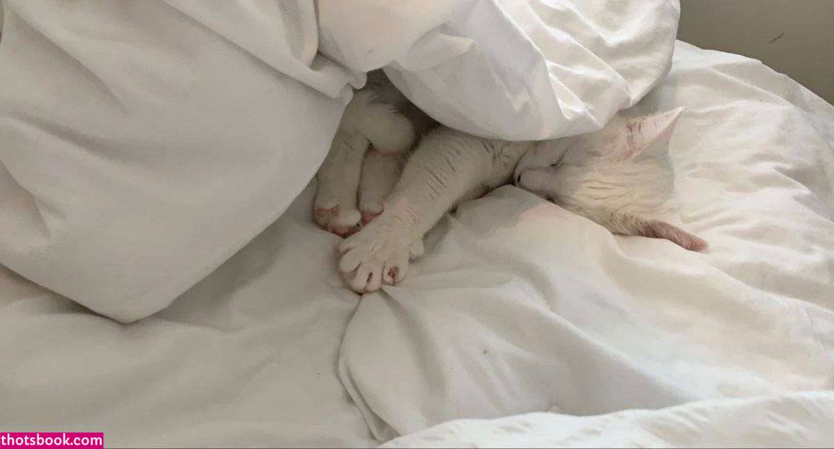 KoyaKitten Anzhelayna Nude OnlyFans Photos #5 999239