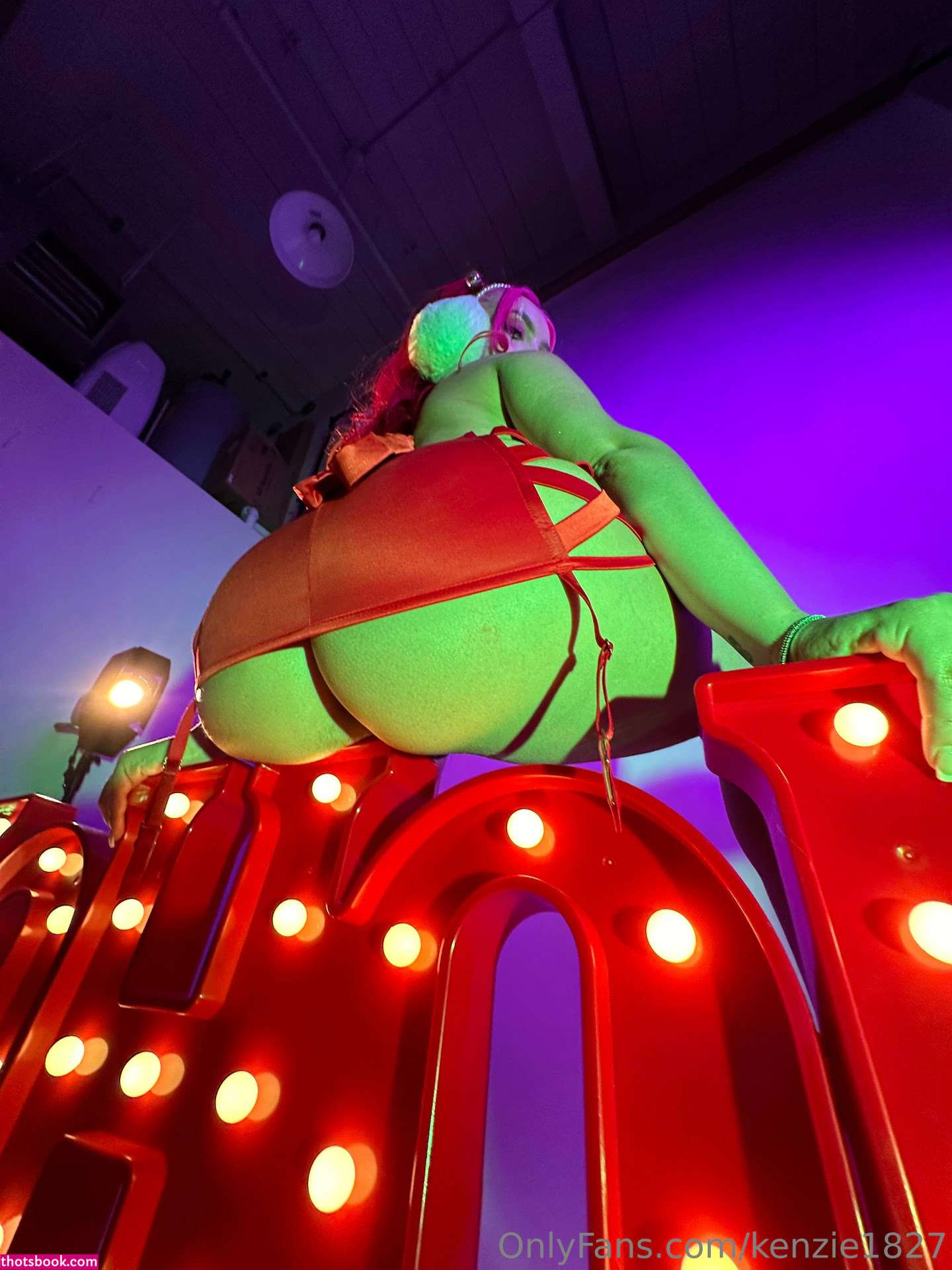 elizabethh1827 Nude OnlyFans Photos #4 1033318