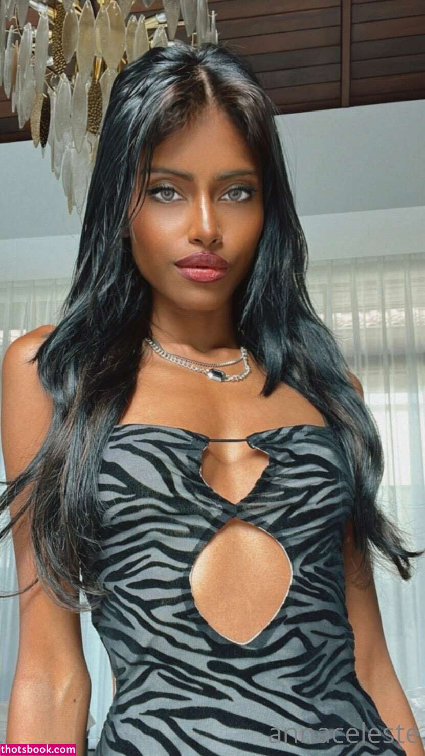 Annaceleste Onlymaxci Maxcicat Nude OnlyFans Photos #6 1018713