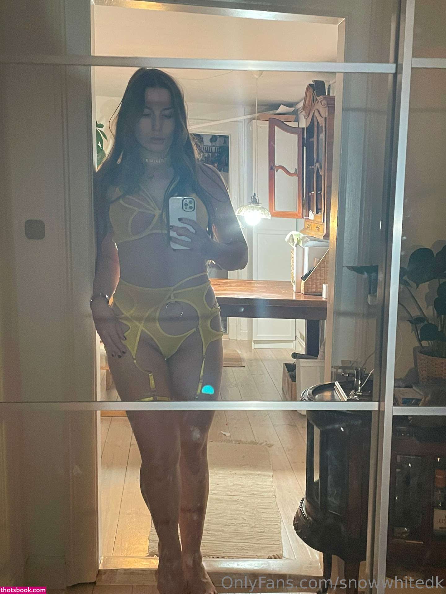 SnowWhiteDK Danish Snowbunny Nude OnlyFans Photos #15 995696