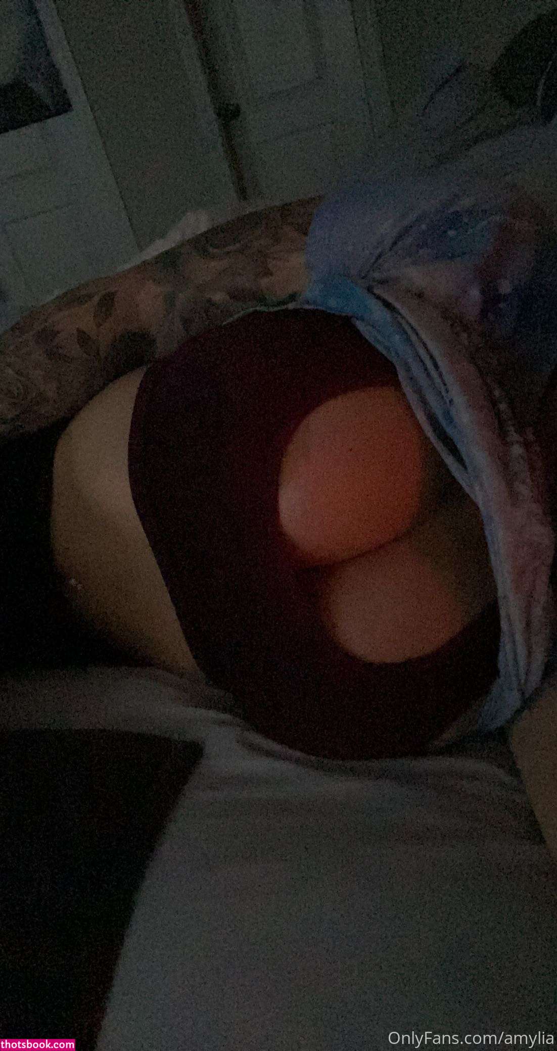 Ajmodel93 amylia beautywithaj Nude OnlyFans Photos #2 1028277