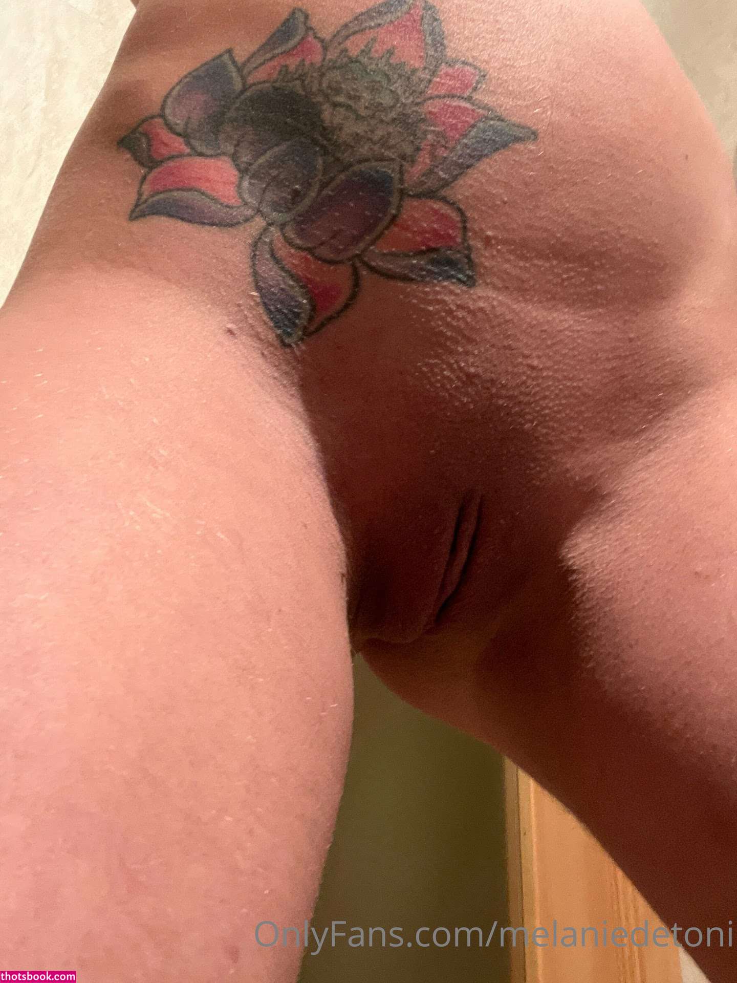 Melanie De Toni Nude OnlyFans Photos #2 1006905