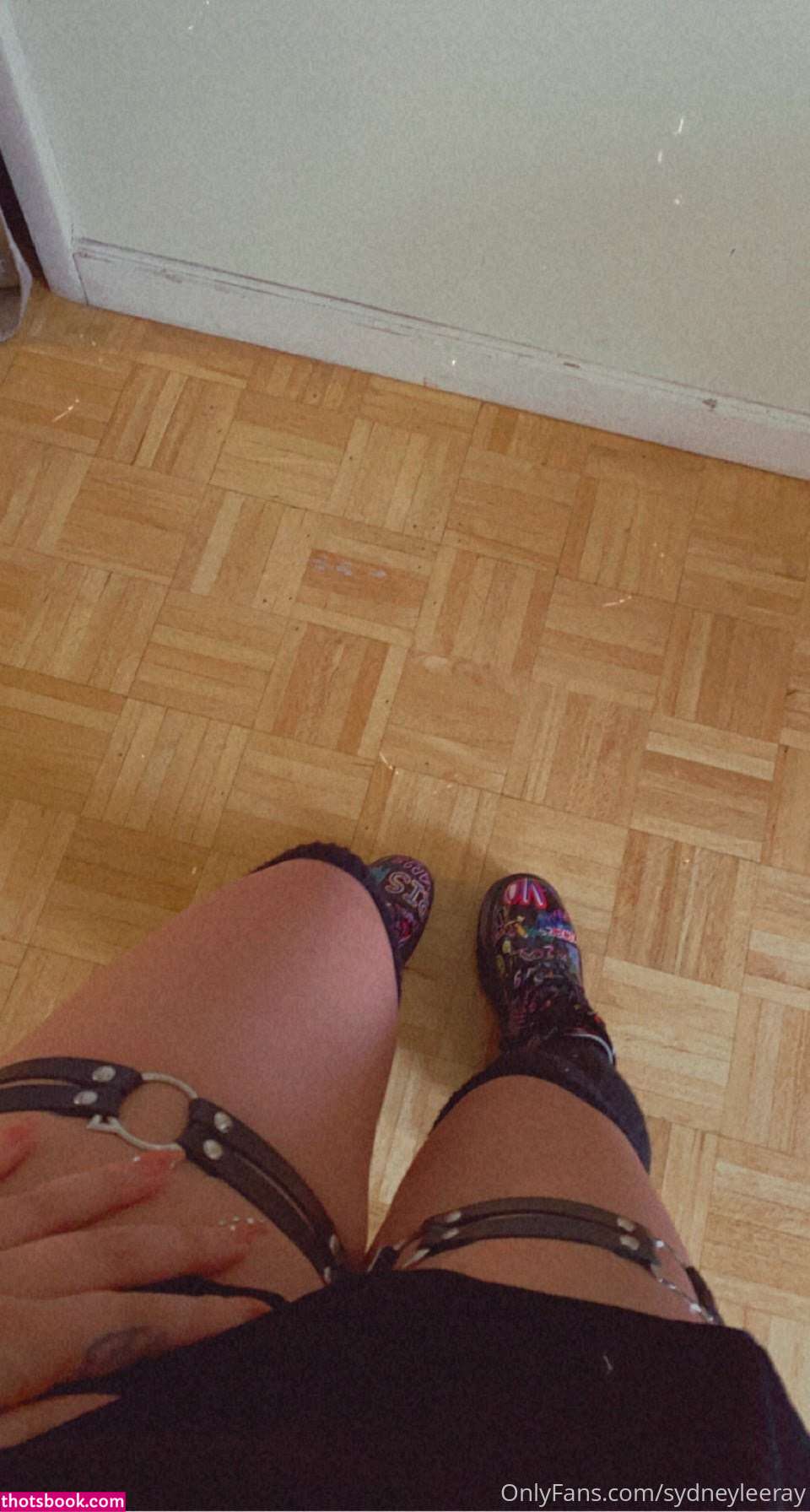 Sydney Lee Ray sydneyleeray Nude Leaks OnlyFans Photos #3 1720849