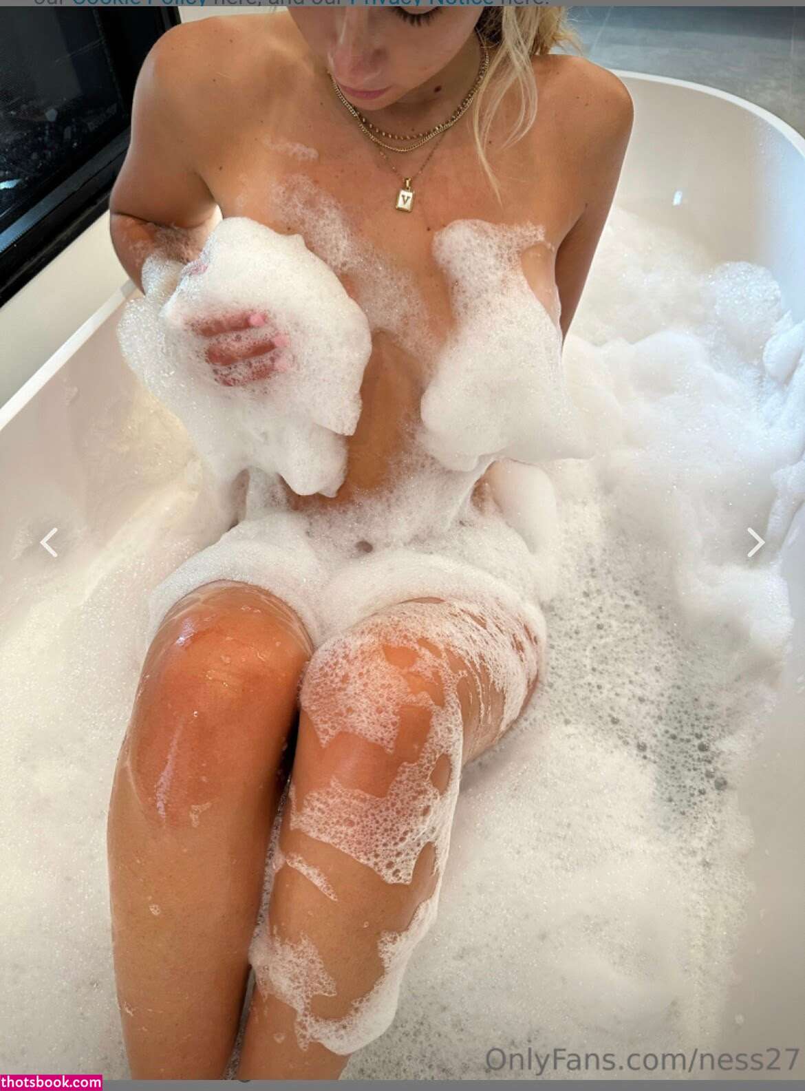 Vanessa DeCesare ness27 Nude Leaks OnlyFans Photos #4 1733568