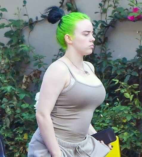 Billie Eilish Huge Boobs 71641