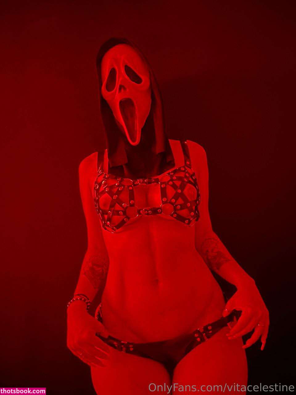 Vitacelestine Nude OnlyFans Photos #9 447435