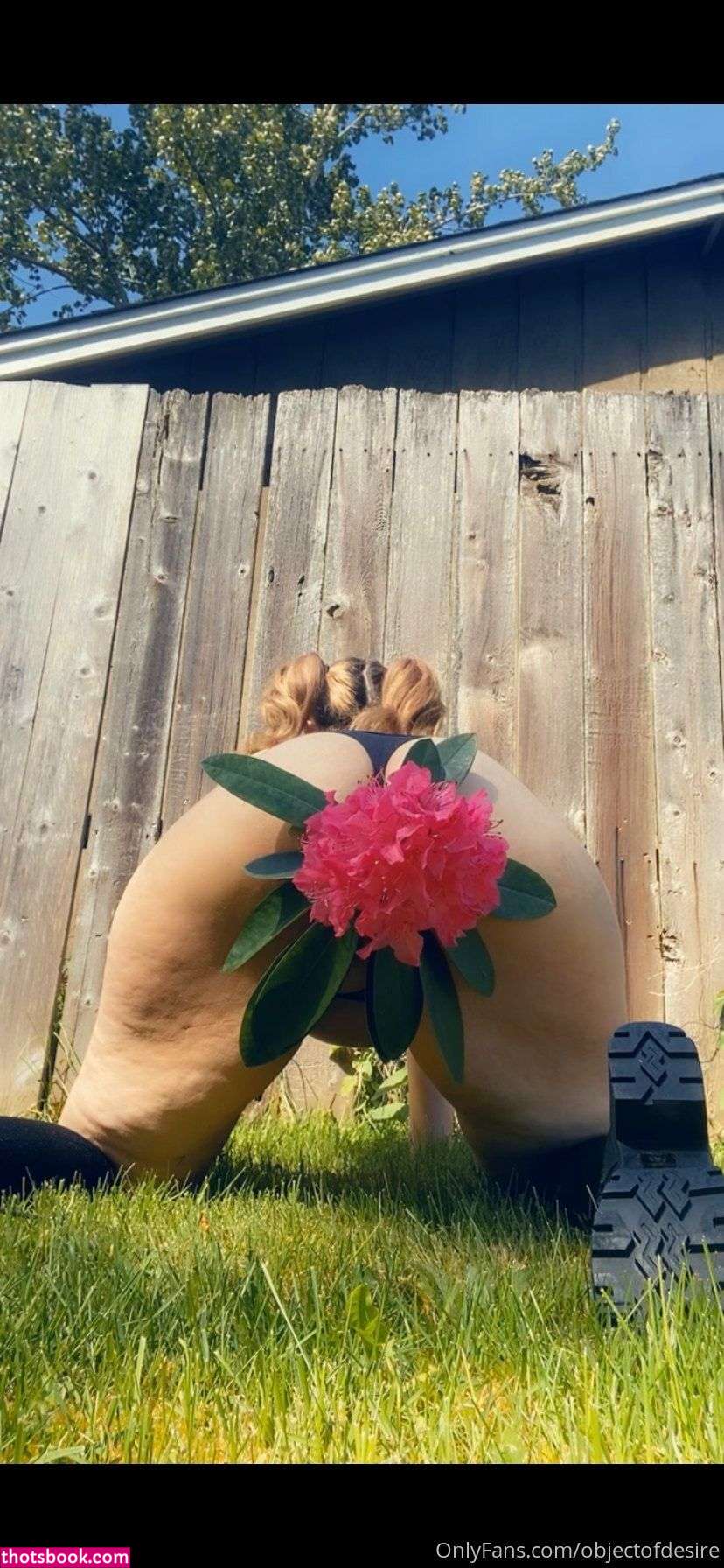 Meowingfromhell 0bjectofdesire Nude Leaks OnlyFans Photos #7 1305823