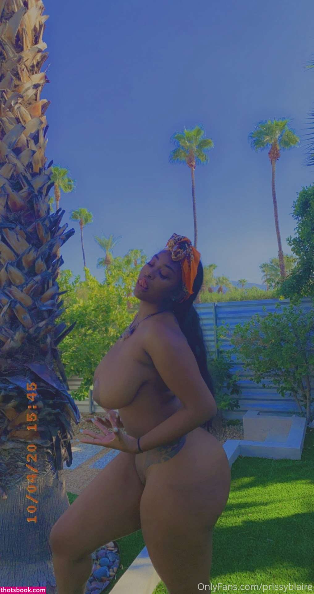 Prissy Blaire Nude Leaks OnlyFans Photos #2 1313108