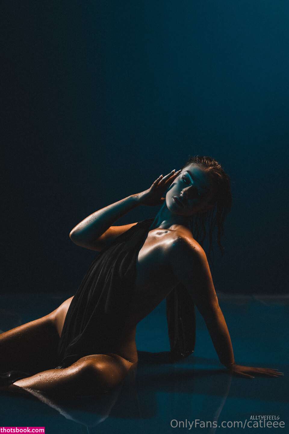 Cat Lee caitlinnlee Nude Leaks OnlyFans Photos #4 1291357