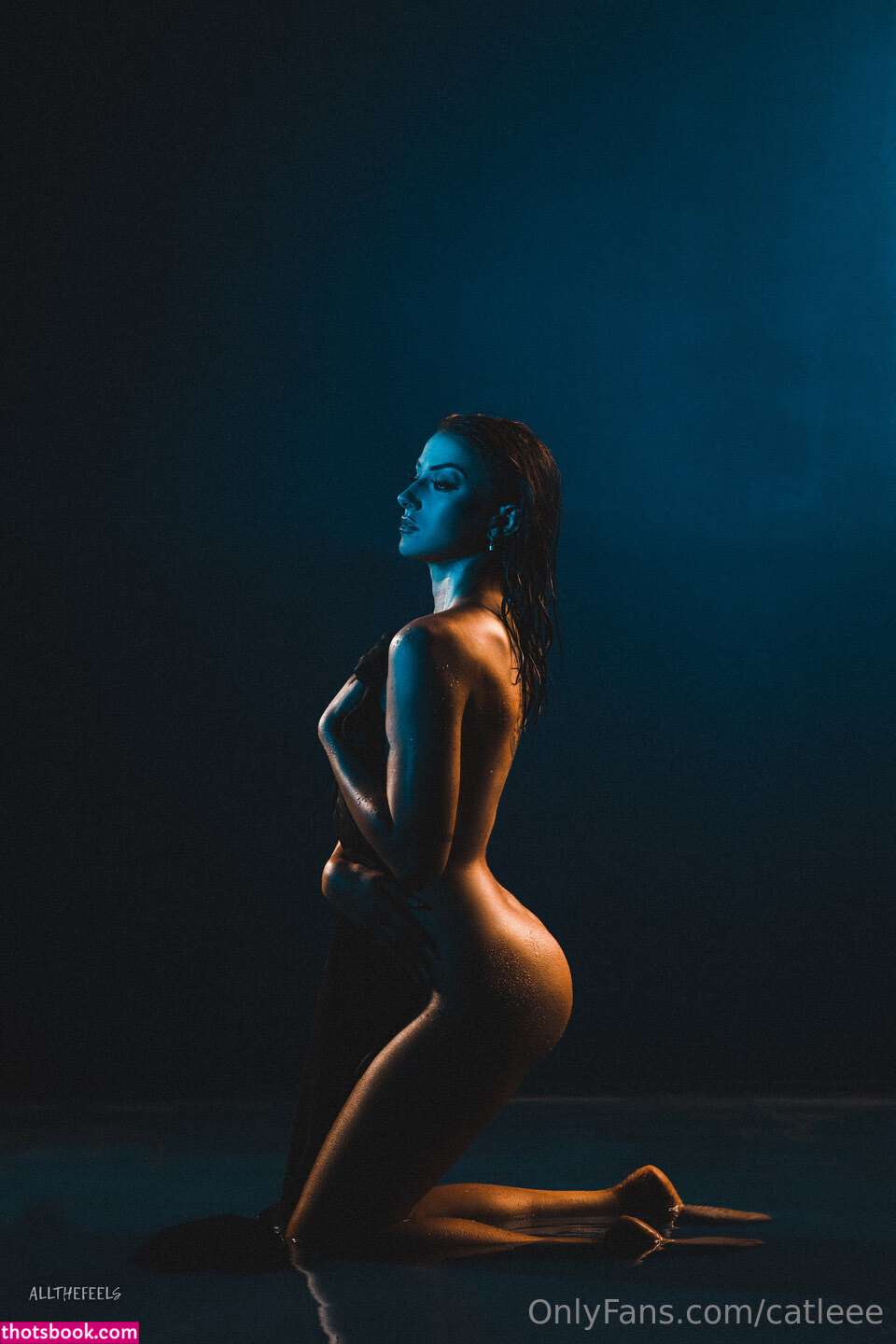 Cat Lee caitlinnlee Nude Leaks OnlyFans Photos #4 1291358