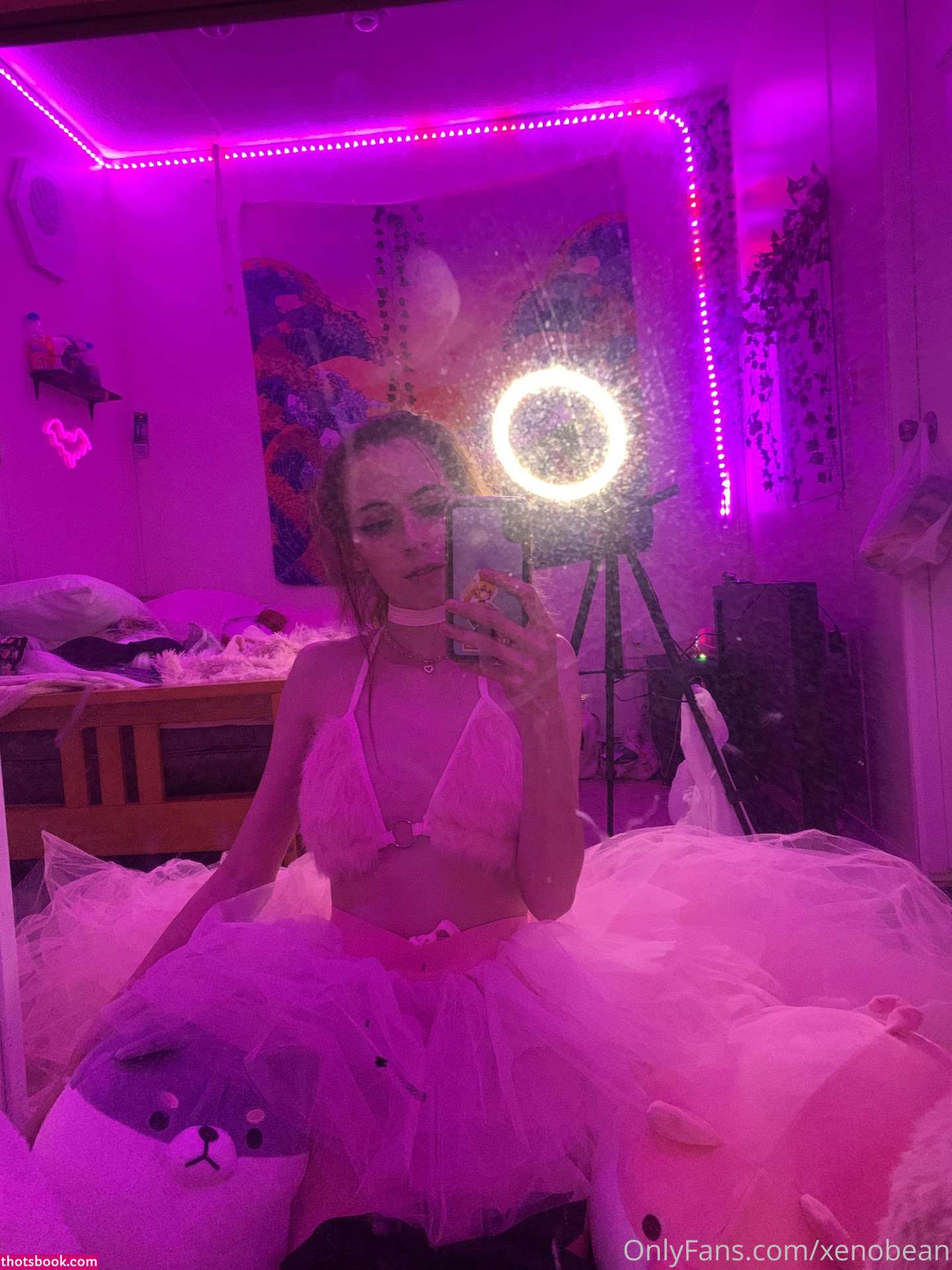 Xenobean xenobeanx morphicxeno Nude Leaks OnlyFans Photos #5 1308073