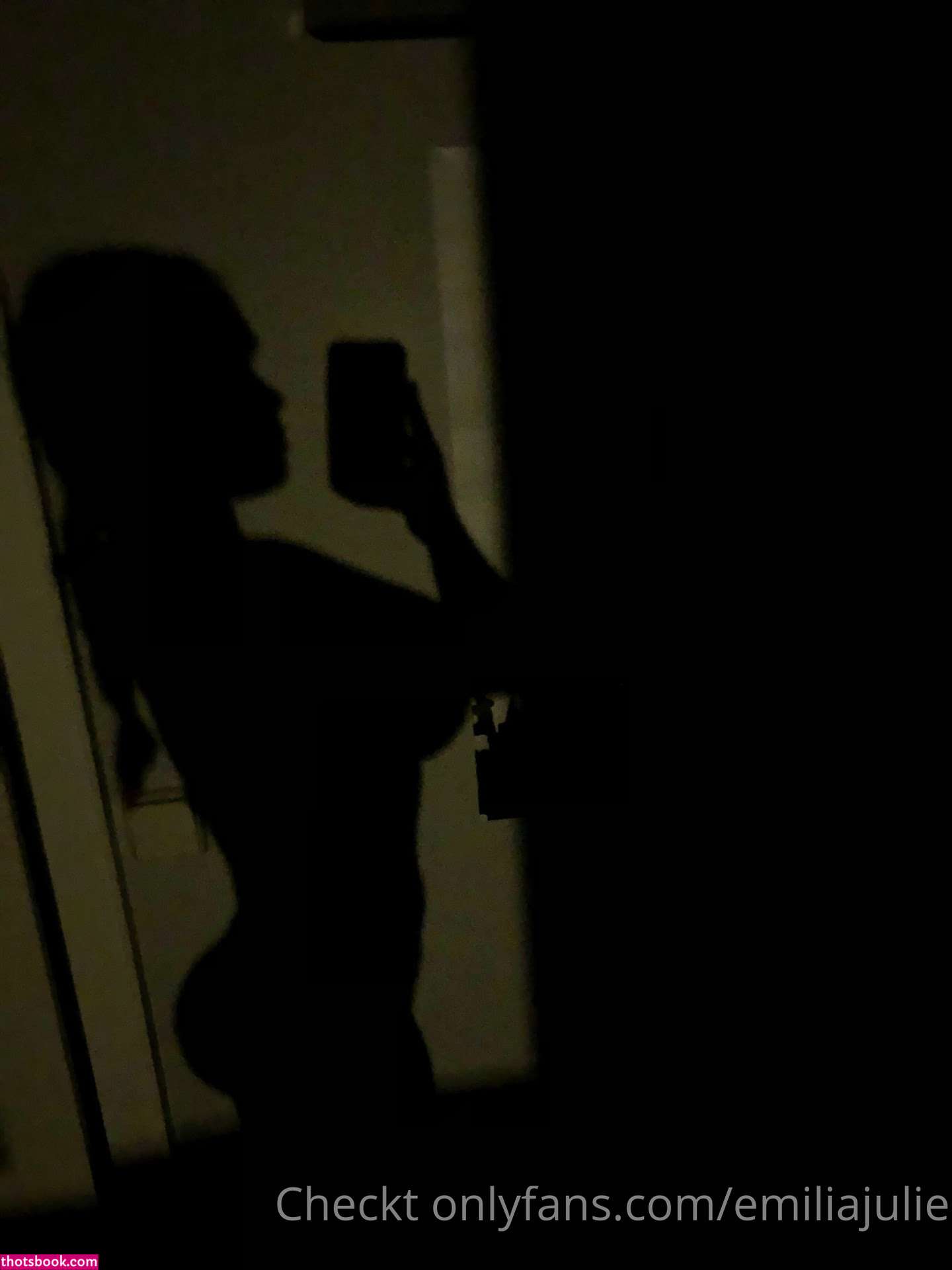 emiliajulie Nude Leaks OnlyFans Photos #12 1308232