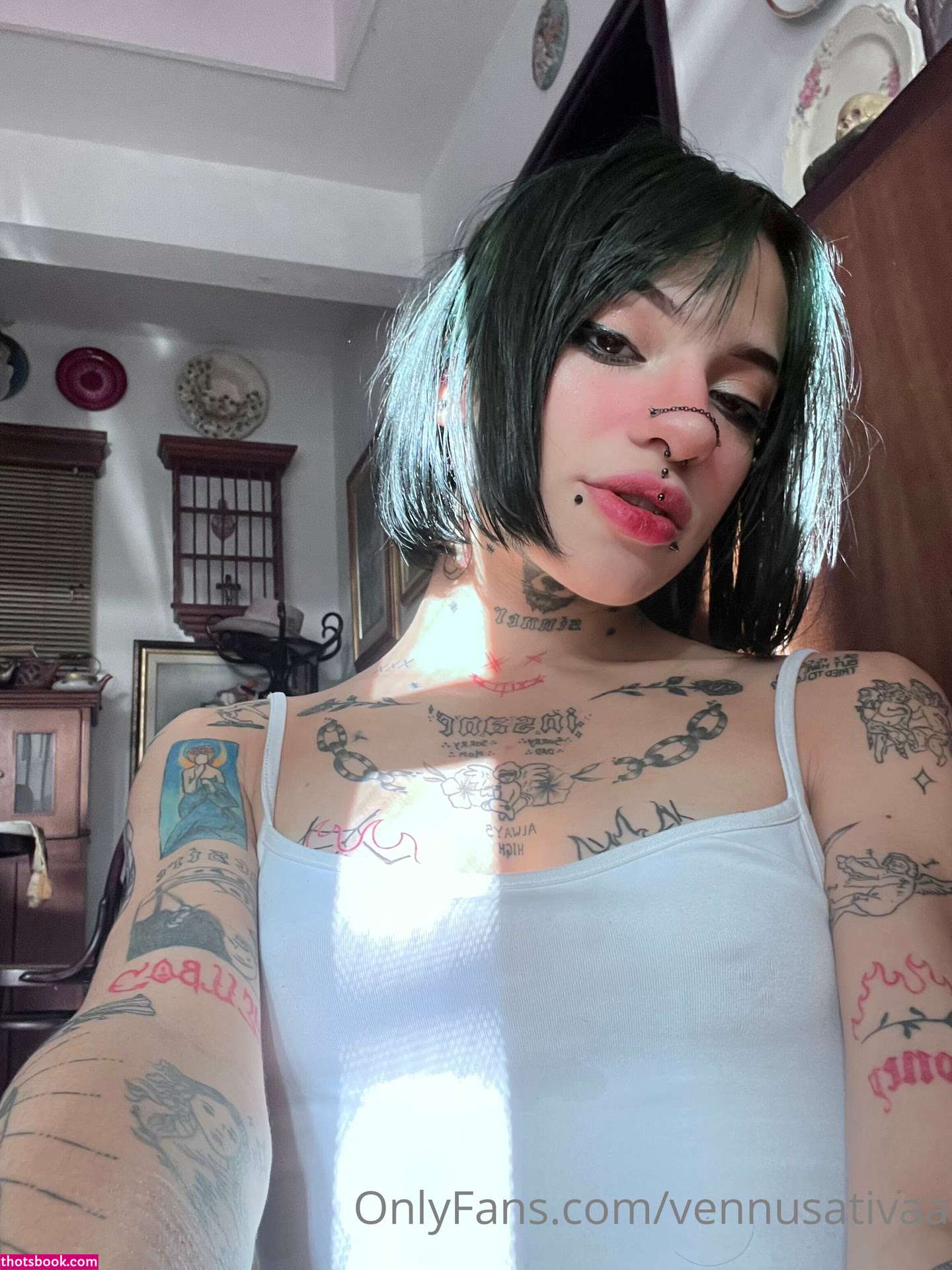 VennusSativa Nude Leaks OnlyFans Photos #12 1326058