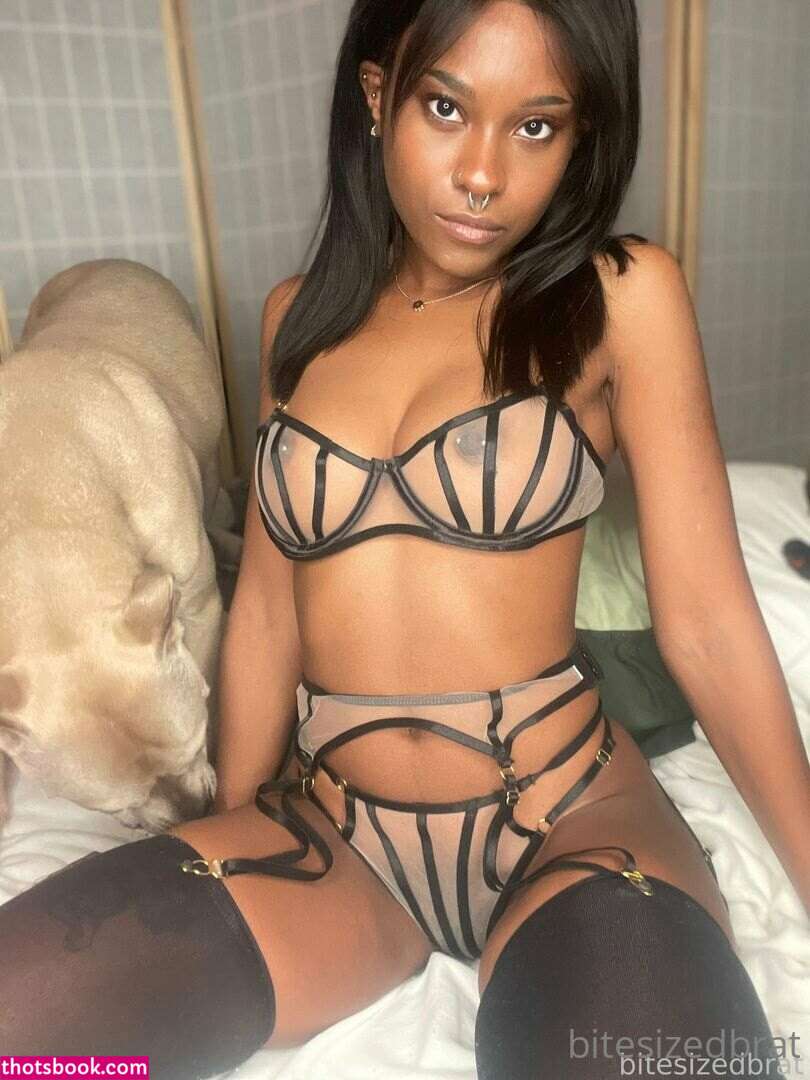 Bitesizedbrat thembothot Nude OnlyFans Photos #15 1282563