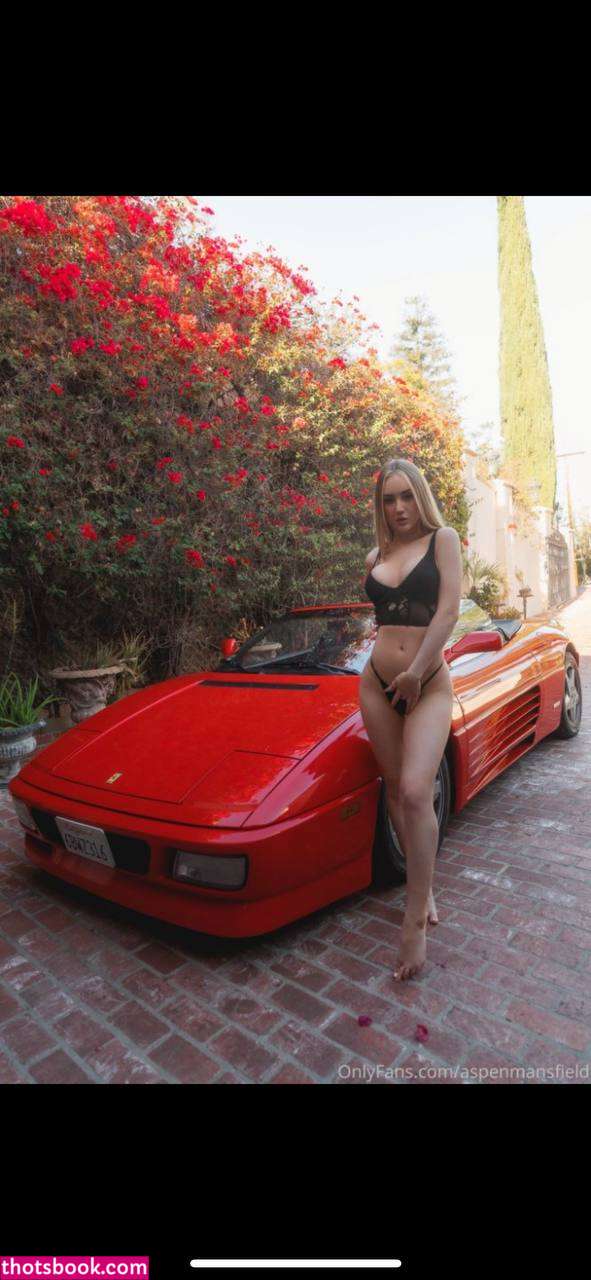 Aspen Mansfield Nude Leaks OnlyFans Photos #5 1328123