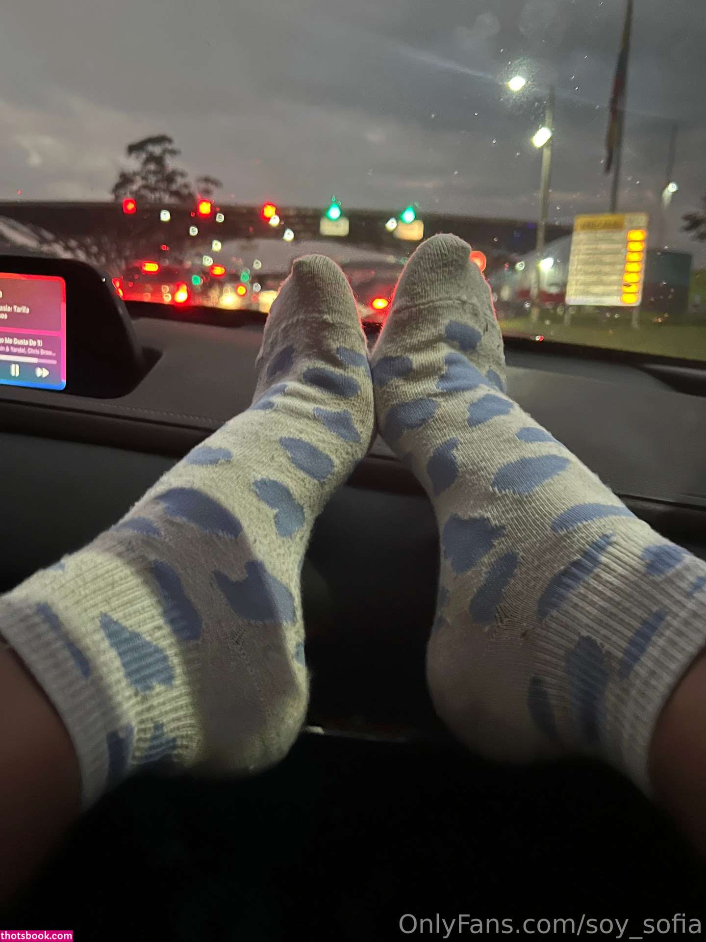 Soy Sofia Lucia Ferri Nude OnlyFans Photos #7 1284608