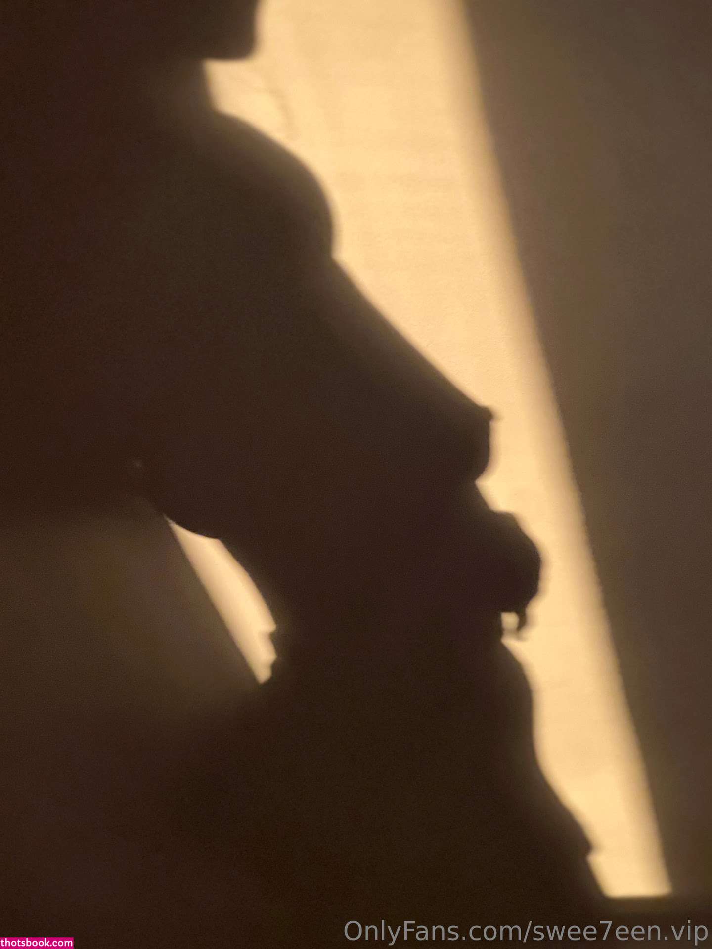 swee7een vip Nude Leaks OnlyFans Photos #7 1315584