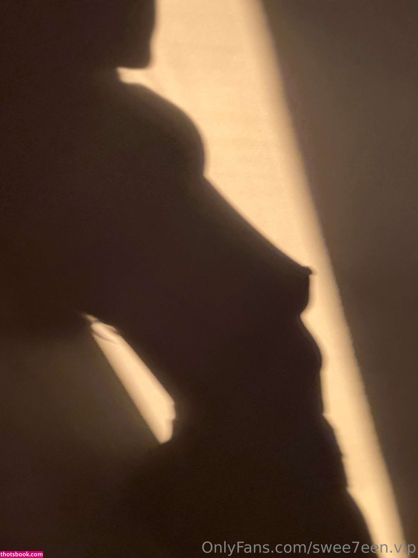 swee7een vip Nude Leaks OnlyFans Photos #9 1316871