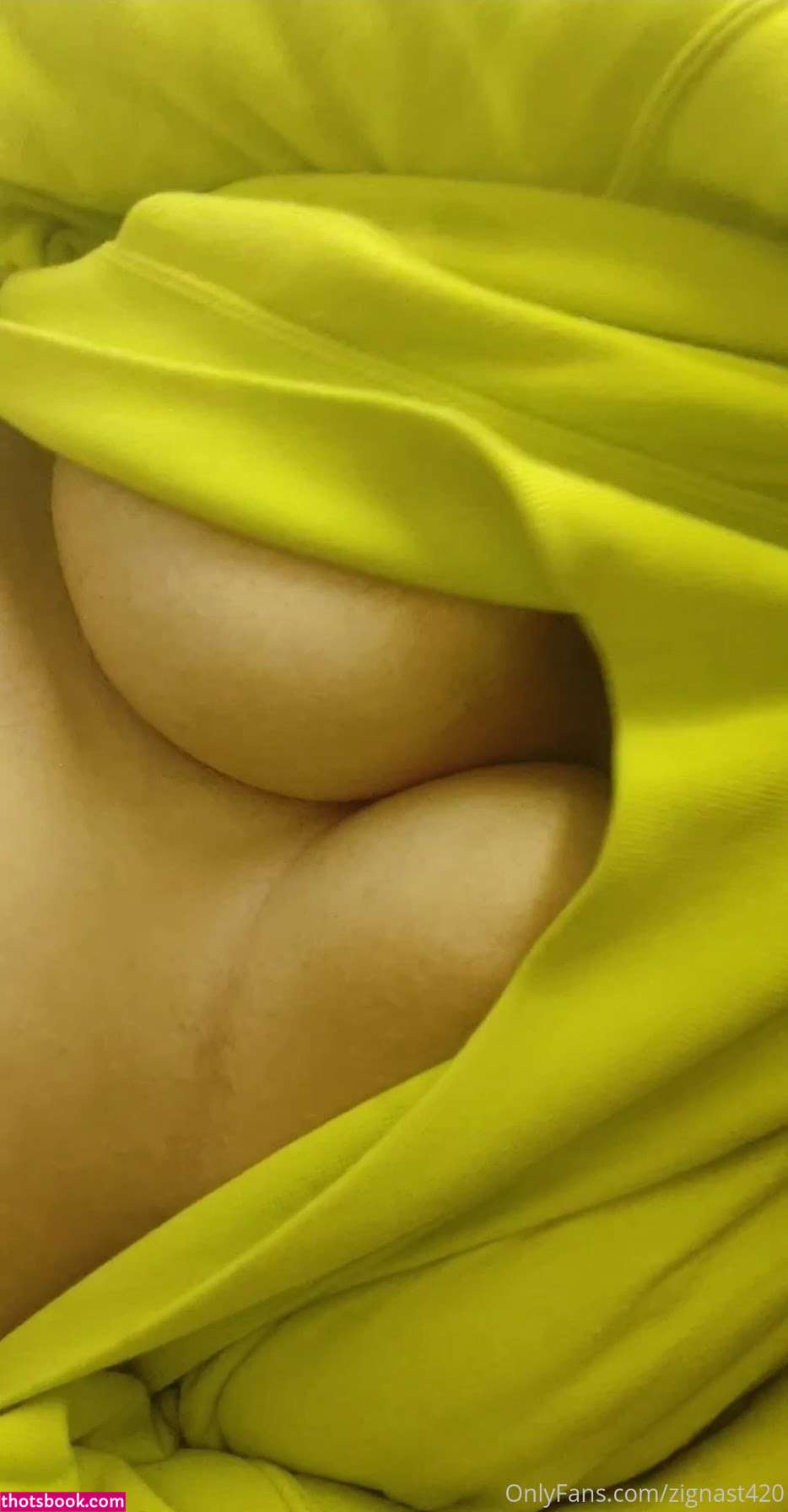 zignast420 Nude Leaks OnlyFans Photos #3 1859953