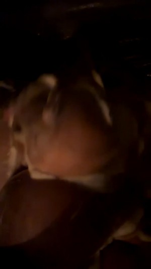 n1ghtmaiden Nude Leaks OnlyFans Video #1