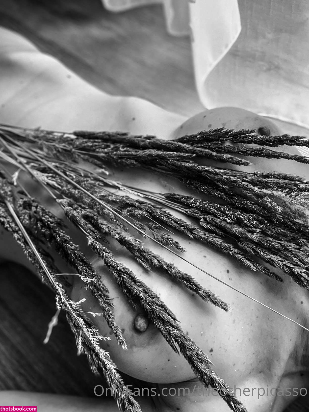 TheOtherPicasso Nude Leaks OnlyFans Photos #2 1887633