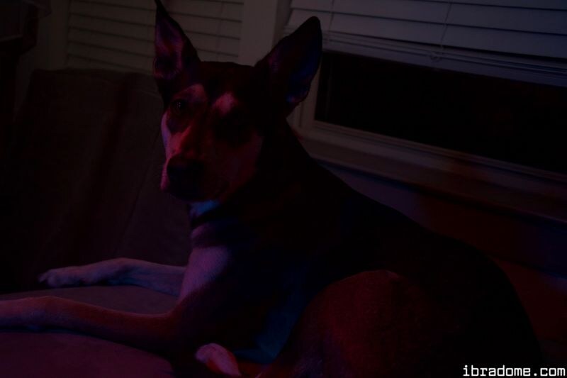 Sabrina Nichole Redlight District Set 17282