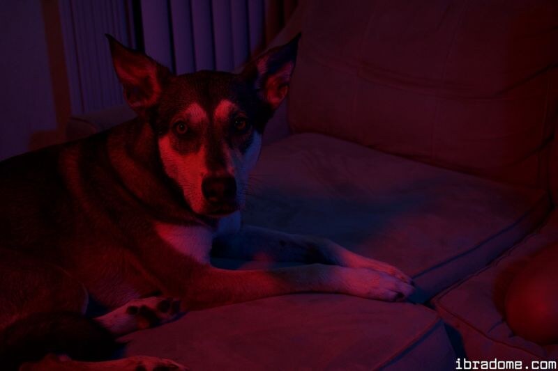 Sabrina Nichole Redlight District Set 17287